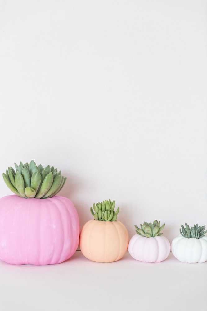 <p>Pastel pumpkins with real succulents nestled inside? Sign us up!<br><br>Get the tutorial at <a href="https://bestfriendsforfrosting.com/diy-halloween-pumpkin-succulent-porch-decorations/" rel="nofollow noopener" target="_blank" data-ylk="slk:Best Friends for Frosting;elm:context_link;itc:0;sec:content-canvas" class="link ">Best Friends for Frosting</a>.</p>