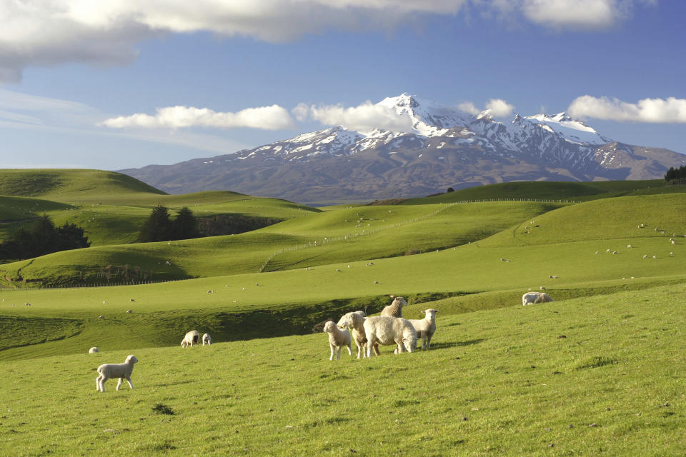 <b>5. Neuseeland </b> <br><br>Spätestens seit den Herr-der-Ringe-Verfilmungen gilt Neuseeland als Traum-Wohnort: Die spektakuläre Natur und eine stabile, wohlhabende Gesellschaft machen die Heimat der Kiwi zu einem glücklichen Land.