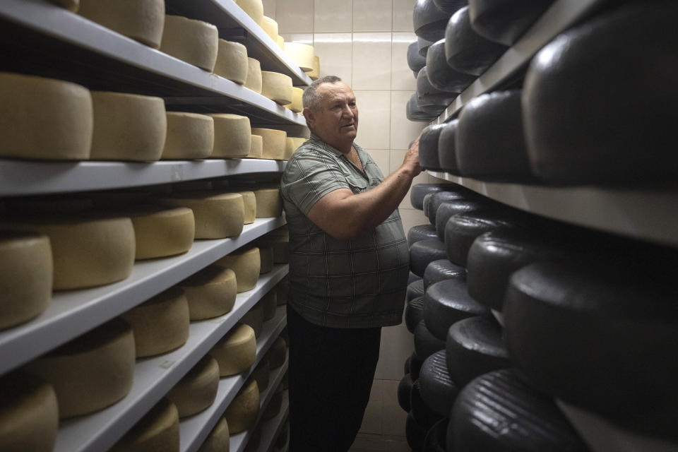 Victor Tsvik, an owner of a private farm, inspects a goat cheese storage in Zhurivka, Kyiv region, Ukraine, Thursday, Aug. 10, 2023. Tsvyk harvested 4,800 tons of wheat this month, but after Russia exited a wartime deal that allowed Ukraine to ship grain to the world, he has no idea where his produce will go. Or how his beloved farm will survive.(AP Photo/Efrem Lukatsky)
