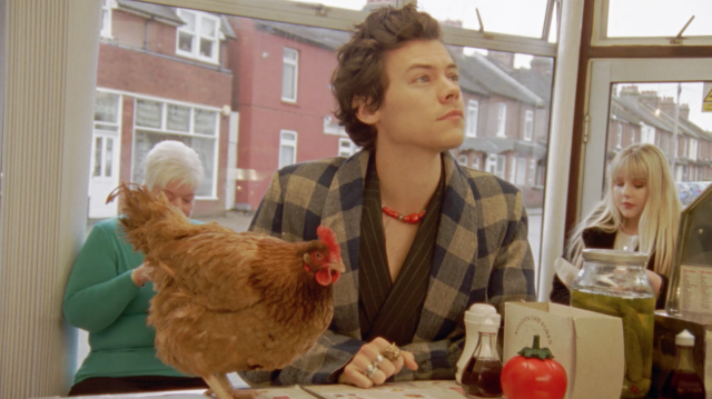 Harry Styles poses with chicken in new Gucci Fall Campaign