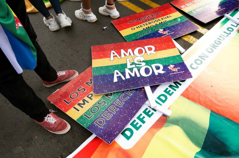 A demonstration has been called in Lima on the International Day Against Homophobia, Biphobia and Transphobia (Cris BOURONCLE)
