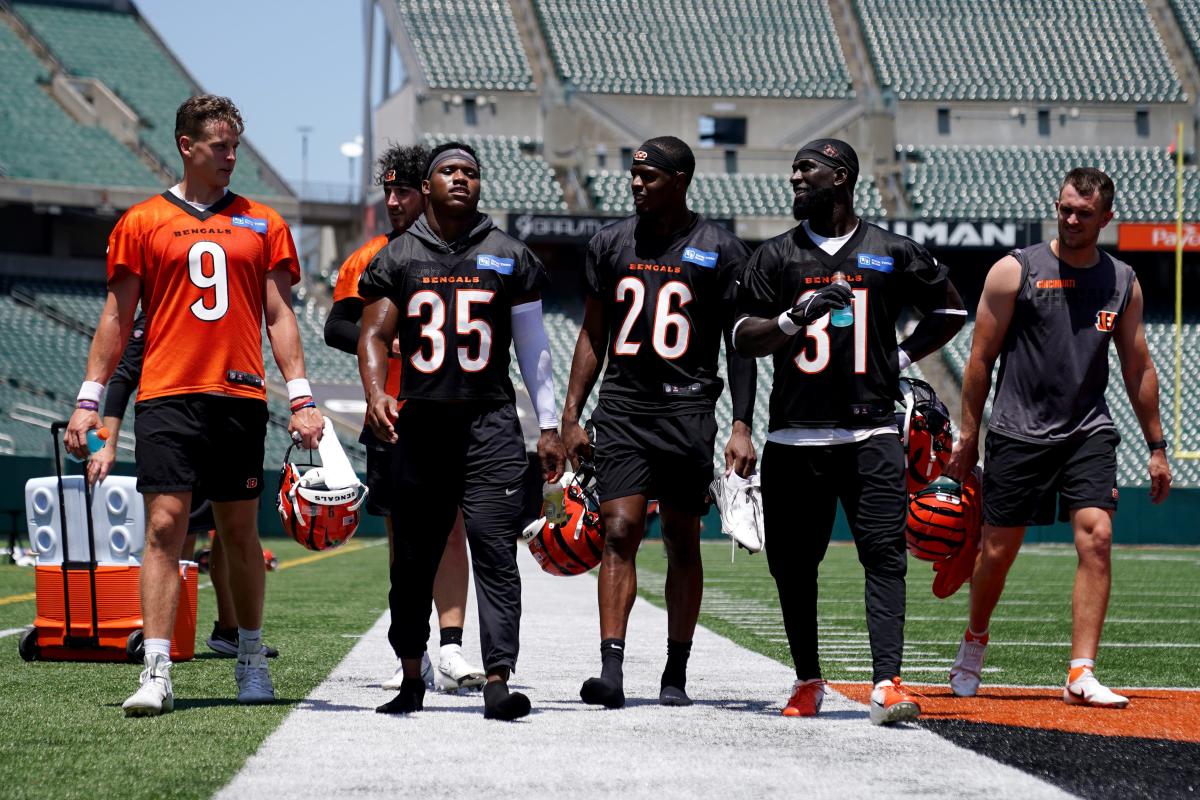 Bengals announce new season-ticket plan with cheaper preseason tickets -  Cincy Jungle