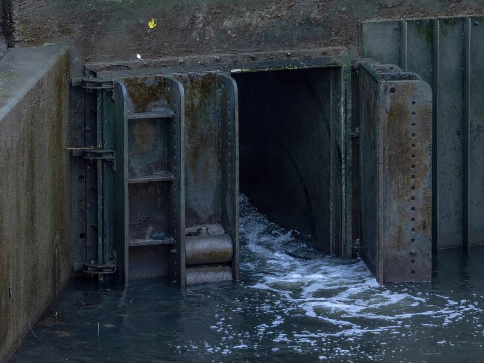 A sewage overflow outlet discharges into the River Thames in November (Getty Images)