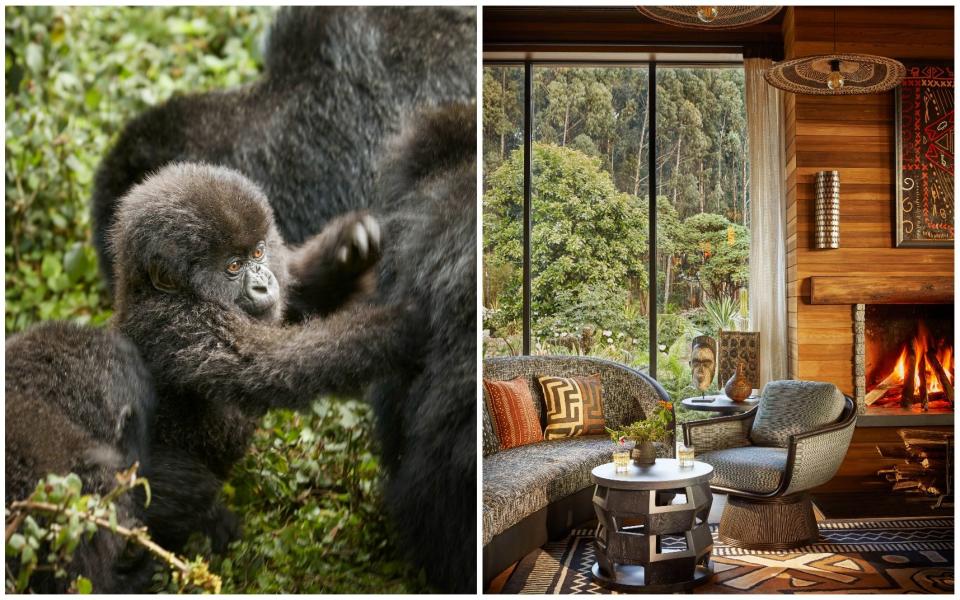 One&Only Gorilla's Nest, Rwanda