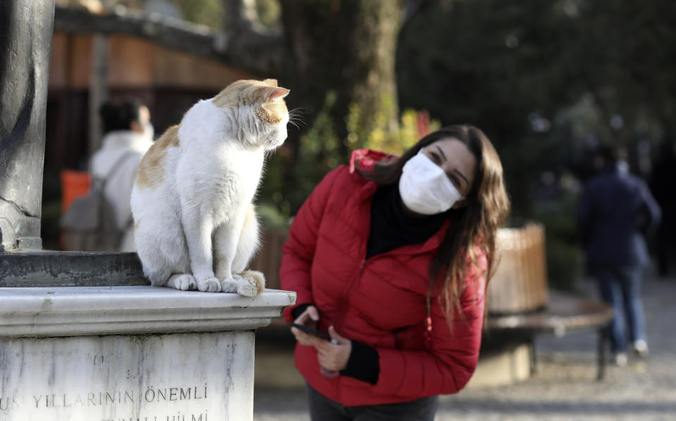 A woman wearing a mask to help protect against the spread of coronavirus, tries to communicate with Efe, a cat living in Kugulu public garden, in Ankara, Turkey, Monday, Nov. 30, 2020.Turkey's President Recep Tayyip Erdogan has announced Monday the most widespread lockdown so far amid a surge in COVID-19 infections, extending curfews to weeknights and full lockdowns over weekends.(AP Photo/Burhan Ozbilici)