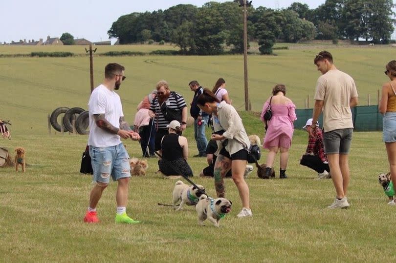 The huge dog festival kicks off on July 13