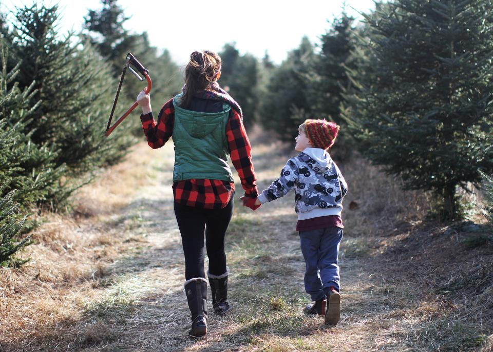 Hunt for a tree, or buy one pre-cut, at The Farmer's Daughter in South Kingstown.