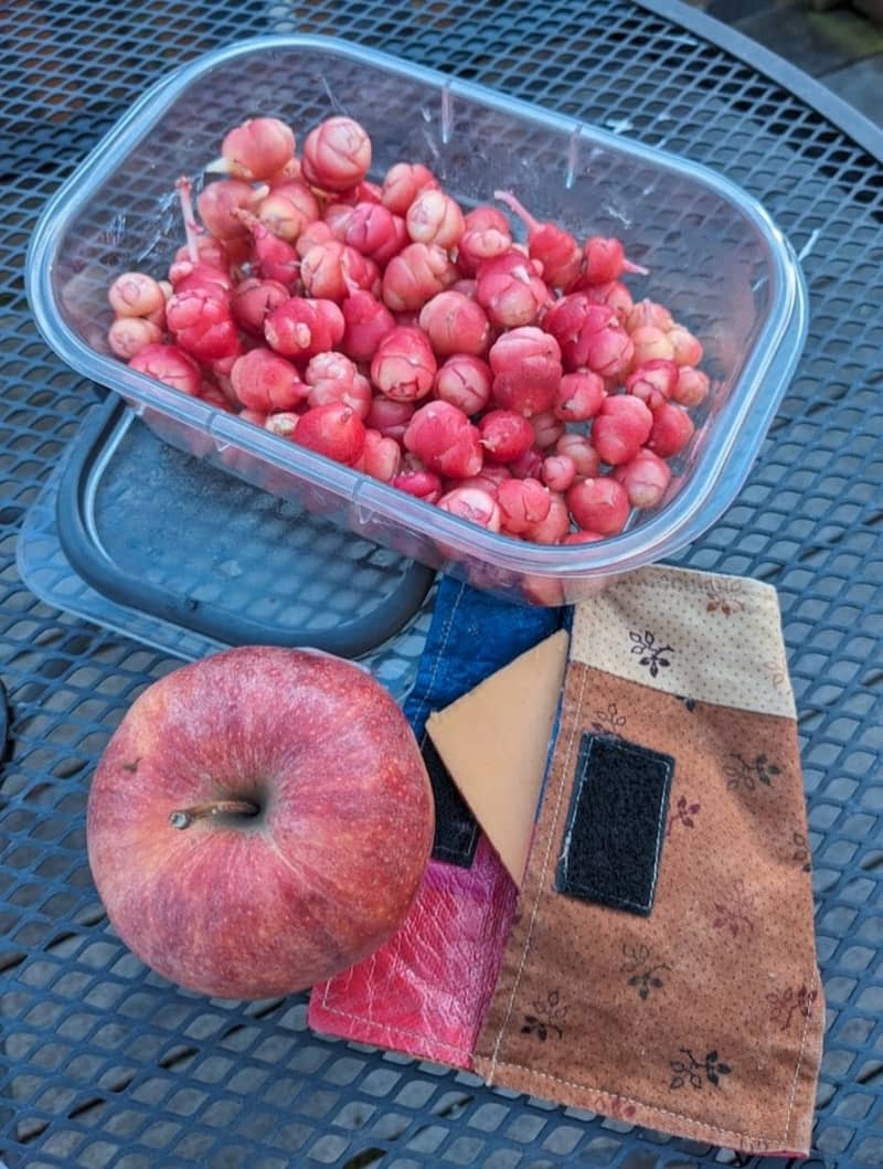 Tupperware full of fruit and apple