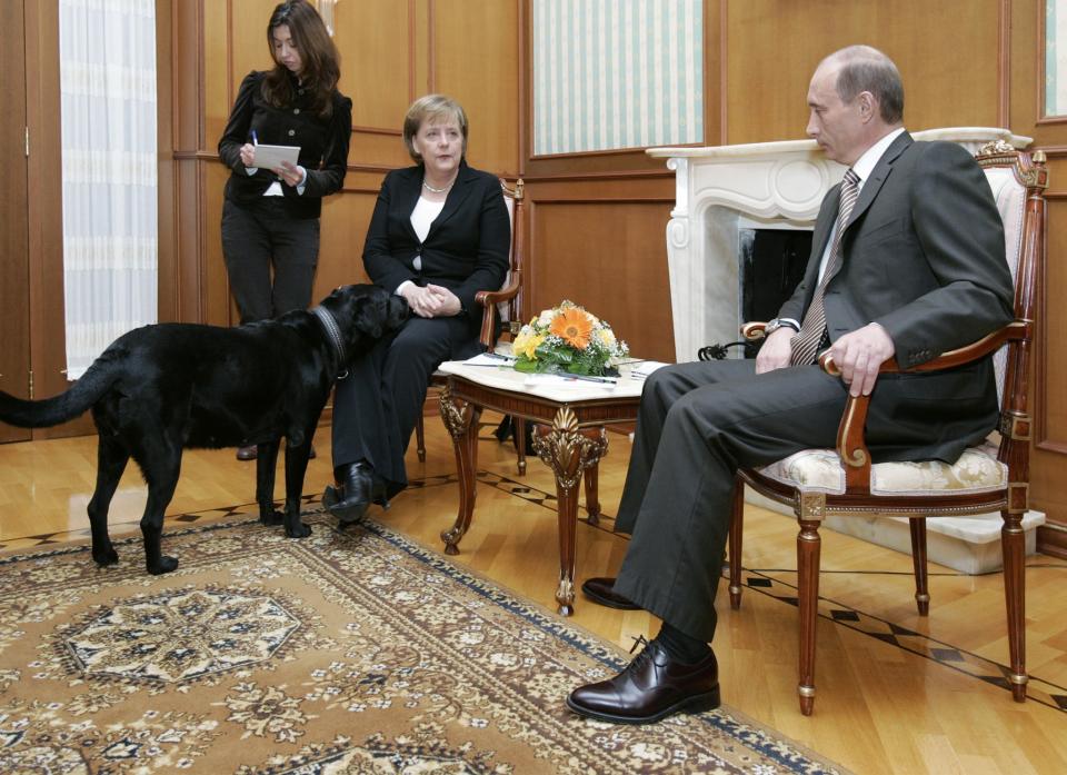 Das sind die witzigsten Bilder von Angela Merkel