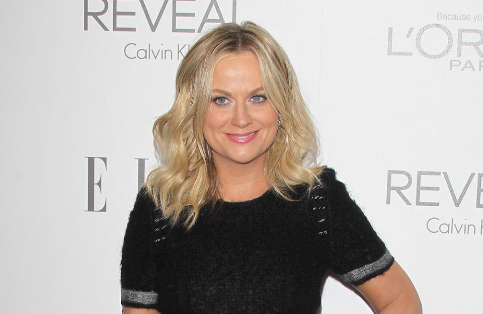 Amy Poehler