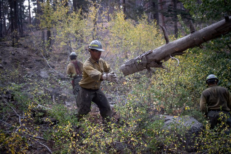 FILE PHOTO: Firefighters prep fire line ahead of Brattain Fire in Paisley, Oregon