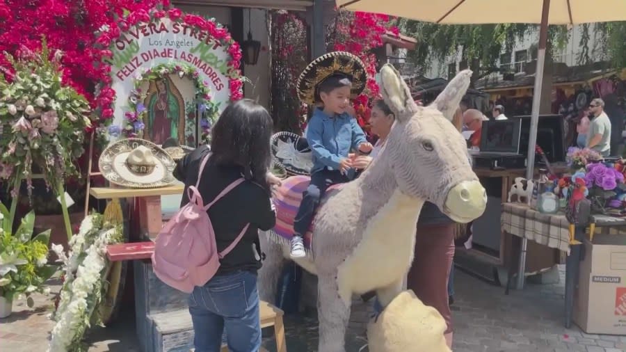 L.A.'s Olvera Street burro in danger of being evicted