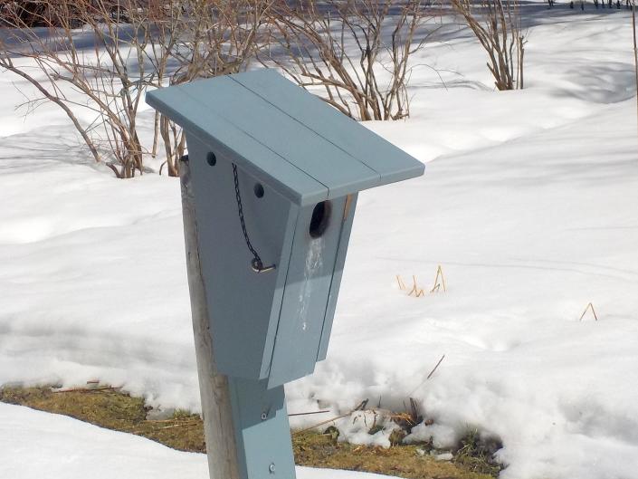 Clean out birdhouses now, before nesting season begins.