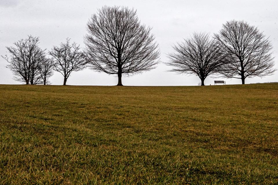 A view of the field and trees at Brandywine Creek State Park is featured on a rainy and cloudy day, Wednesday, Jan. 25, 2023.