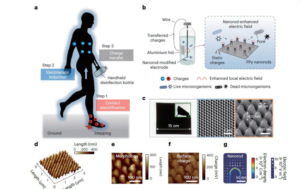 Infografía del funcionamiento del desarrollo presentado por los investigadores coreanos | Kim, YJ., Huo, ZY., Wang, X. et al. Nature Water (2024).