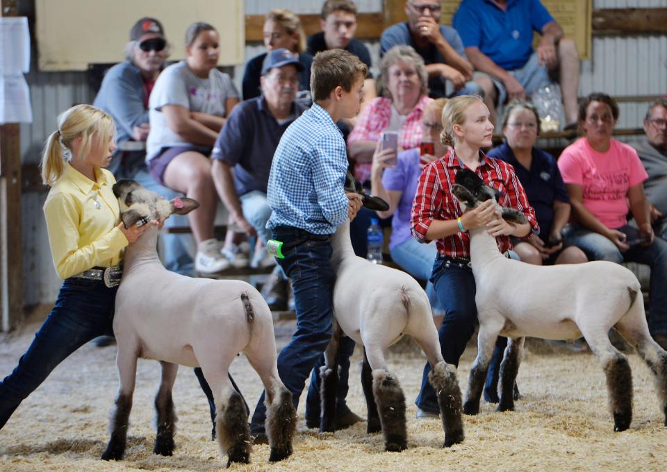 From left, Taylor Kubeja, then 13, Mitchell Metzler, then 14, and Elise Honeycutt, then 14, compete in the market lamb showmanship division at the Waterford Community Fair on Sept. 7, 2021, in Waterford.