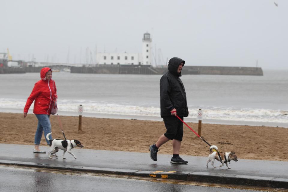 Owners take their dogs for a walk along the sea front (PA)