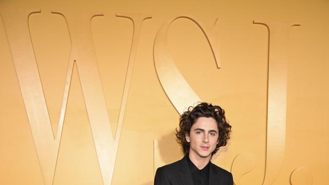 Kylie Jenner & Timothee Chalamet Walk the Red Carpet Separately at WSJ  Magazine's Innovator Awards 2023: Photo 4982040, Kylie Jenner, Martin  Scorsese, Timothee Chalamet Photos