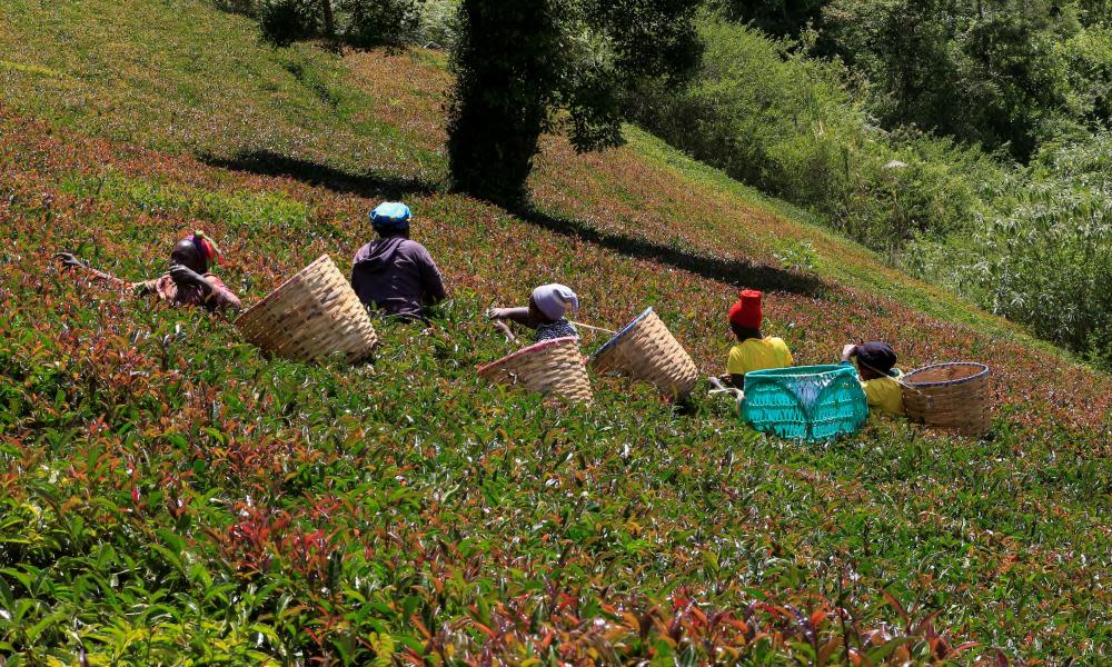 <span>Photograph: Thomas Mukoya/Reuters</span>