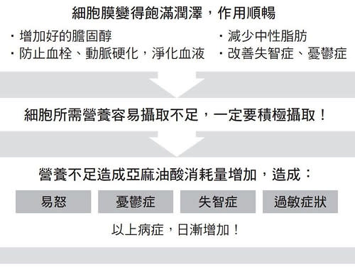 昆布、青背魚等食物有助淨化血液、減少三酸甘油脂，改善失智症與憂鬱症