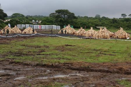 A general view shows stacks of elephant tusks to be burnt, part of an estimated 105 tonnes of ivory and a tonne of rhino horn confiscated from smugglers and poachers to be burnt at the Nairobi National Park near Nairobi, Kenya, April 30, 2016. REUTERS/Siegfried Modola