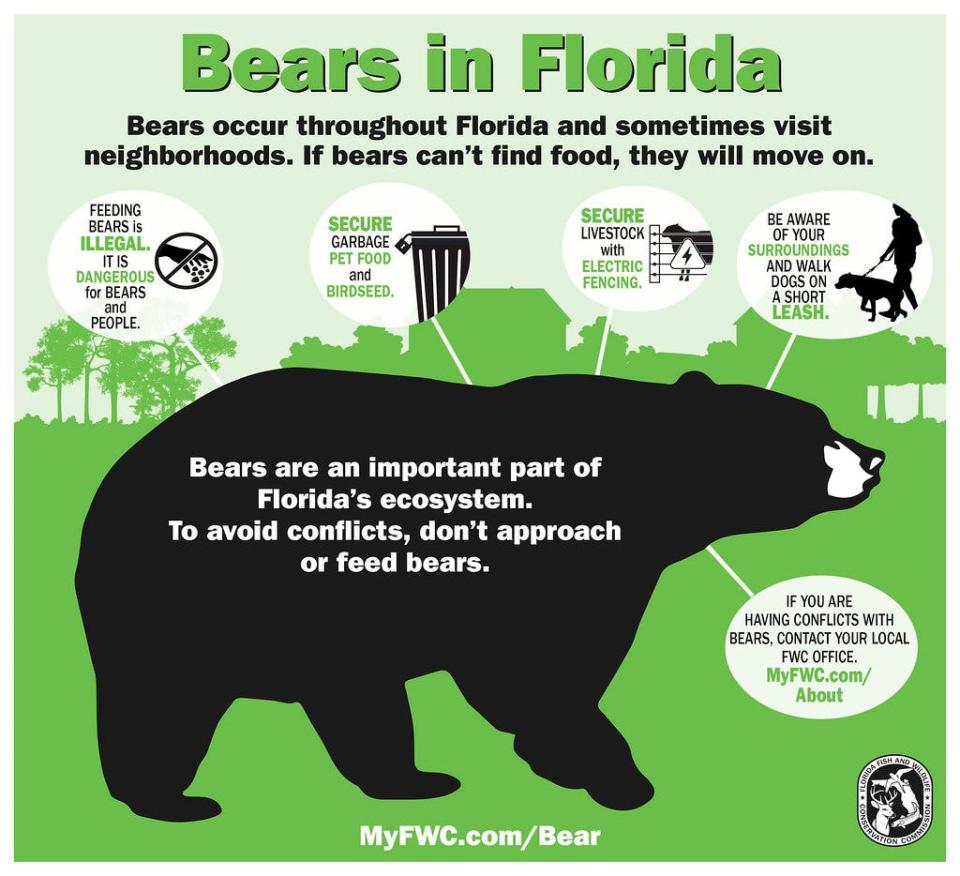 Tips from the Florida Fish and Wildlife Conservation Commission on how to live with bears in the area.