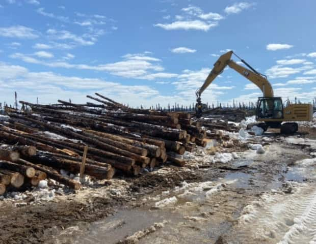 While some of the timber was cut as long ago as 2013, the company said the wood remains in good shape because it is frozen for at least seven months a year. 