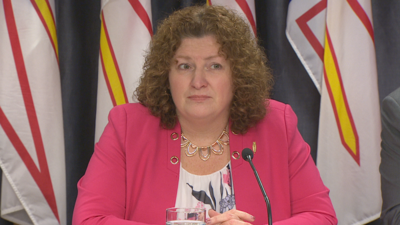 New law strikes balance between landlords and tenants, Service NL Minister says