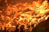 <p>Flames scorch a hillside at the Holy Fire in Lake Elsinore, California, southeast of Los Angeles, on Aug. 9, 2018. (Photo: Robyn Beck/AFP/Getty Images) </p>