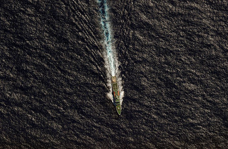 The Chinese Maritime Safety Administration (MSA) vessel Hai Xin 01 is seen from a Royal New Zealand Air Force (RNZAF) P-3K2 Orion aircraft in the southern Indian Ocean, as the search continues for missing Malaysia Airlines flight MH370 April 13, 2014. REUTERS/Greg Wood/Pool