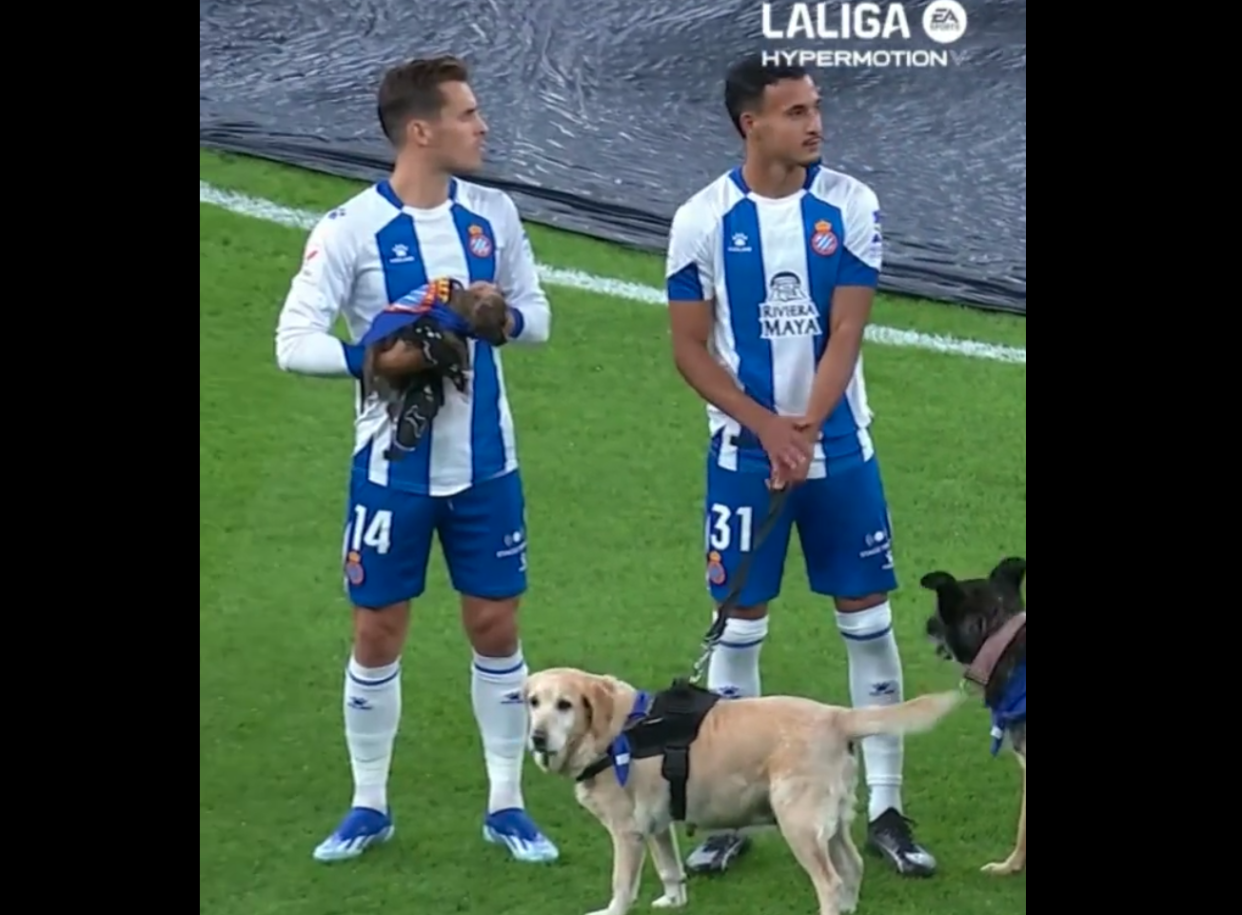 Avant de remporter leur match 2-0, les joueurs de l’Espanyol de Barcelone ont marqué les esprits en soutenant la cause animale au moment de leur entrée sur la pelouse. 