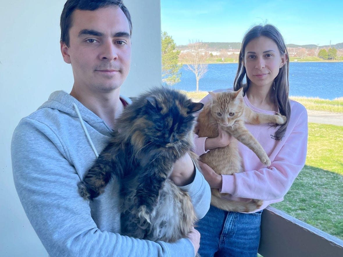 Olga and Ivan Antoniuk and their two cats, Bella and Simba, arrived in St. John’s after fleeing from Ukraine.  (Caroline Hillier/CBC - image credit)