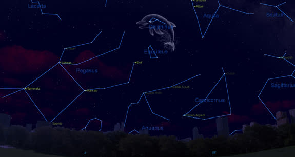 Delphinus, the Dolphin, is a sea creature constellation with some strangely named stars making up its central star pattern. The constellation is visible in the August night sky.