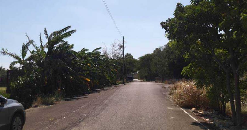 國道3號苑裡路段涵洞路口沒有號誌，加上路樹遮蔭視線不良、夜晚無照明，導致車禍頻傳。（圖／張顧礫提供／中國時報巫靜婷苗栗傳真）