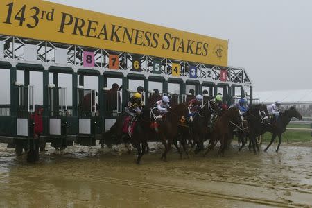 May 19, 2018; Baltimore, MD, USA; A general view of the start gate during the 143rd running of the Preakness Stakes at Pimlico Race Course. Mandatory Credit: Tommy Gilligan-USA TODAY Sports