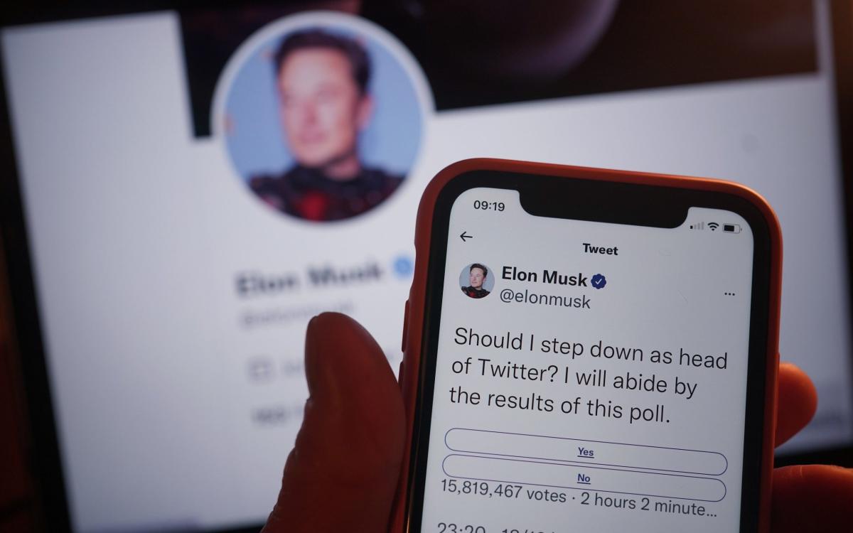 Twitter poll result: Elon Musk told to quit as chief executive