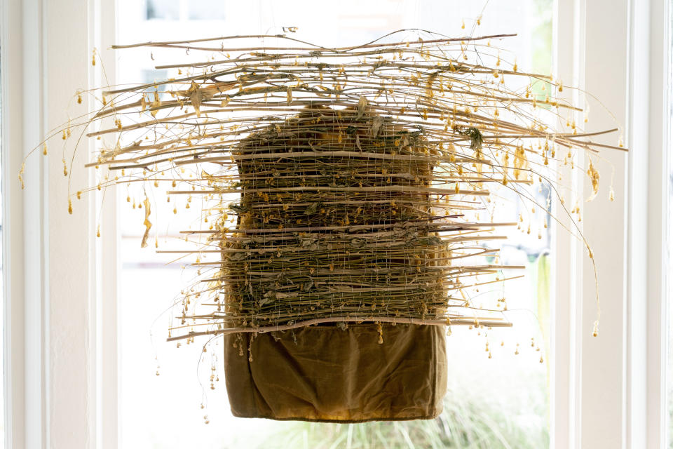 A vest dyed naturally using wild mustard is on display with dried wild mustard stalks and flowers in Max Kingery's clothing shop in the Venice neighborhood of Los Angeles, Thursday, June 15, 2023. (AP Photo/Jae C. Hong)