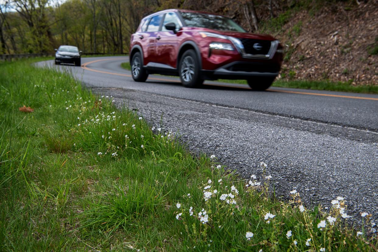 Views along the Blue Ridge Parkway turned green with spring’s arrival.