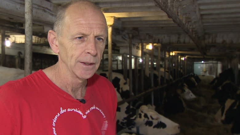 N.B. dairy farmers boost milk production due to high butter demand