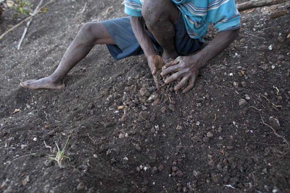 In this Tuesday, March 25, 2014 photo, farmer Jean Romain Beltinor, 59, works the rocky dirt on his parched hillside to prepare for planting seeds he does not have in Bombardopolis, northwestern Haiti. After months of drought, the subsistence farmer struggles to find food for his 13 children. To earn a little money, he must turn to cutting what little wood remains for charcoal. (AP Photo/Dieu Nalio Chery)