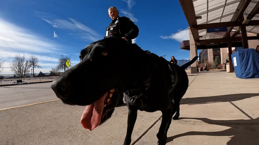 Colorado Springs Police Officer Rodney Biechler and K-9 Donut have been working together for almost three years. In less than two weeks, they will head to Las Vegas to provide Super Bowl security.