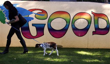 A woman leads a small goat past a banner for the Help End Marijuana Prohibition (HEMP) Party during their launch of the national election campaign in central Sydney September 2, 2013. REUTERS/David Gray