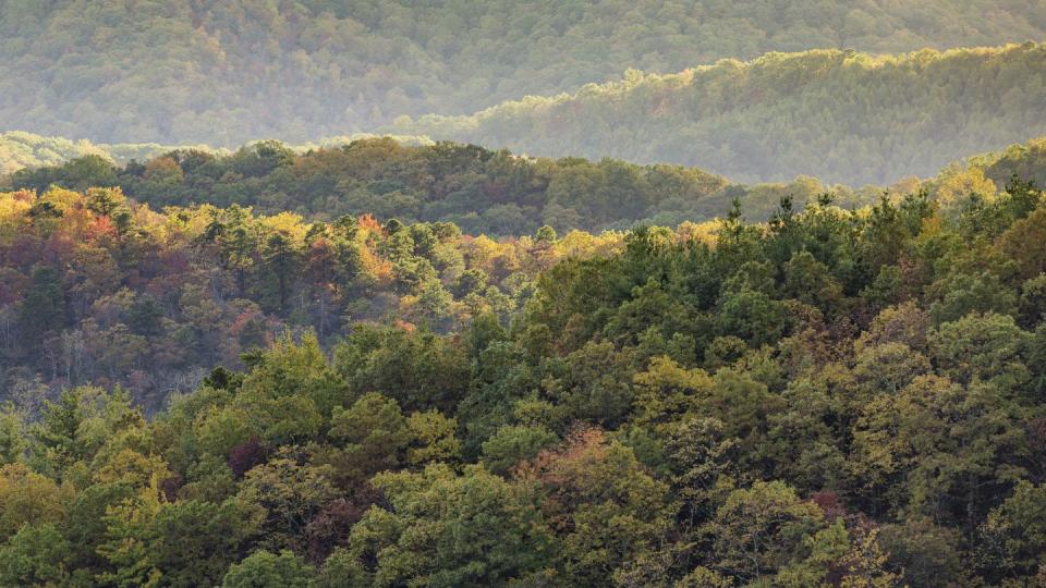 light hitting mountain ridge fall foliage along the blue ridge parkway