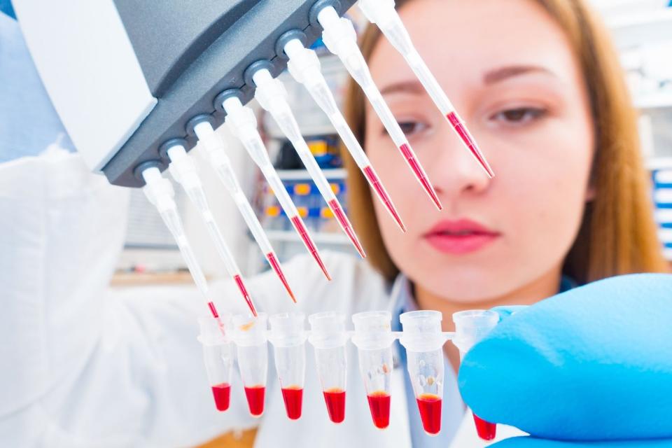 A pharmaceutical laboratory technician uses a multi-pipette device to place red liquid into a row of test tubes.