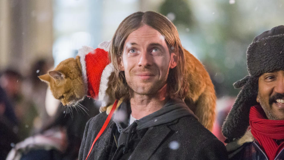 Luke Treadaway and his feline co-star in 'A Christmas Gift from Bob'. (Credit: Lionsgate)