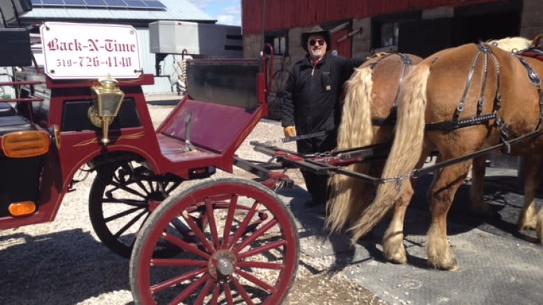 Horse carriage trainer hopes lessons steer volunteers to WETRA