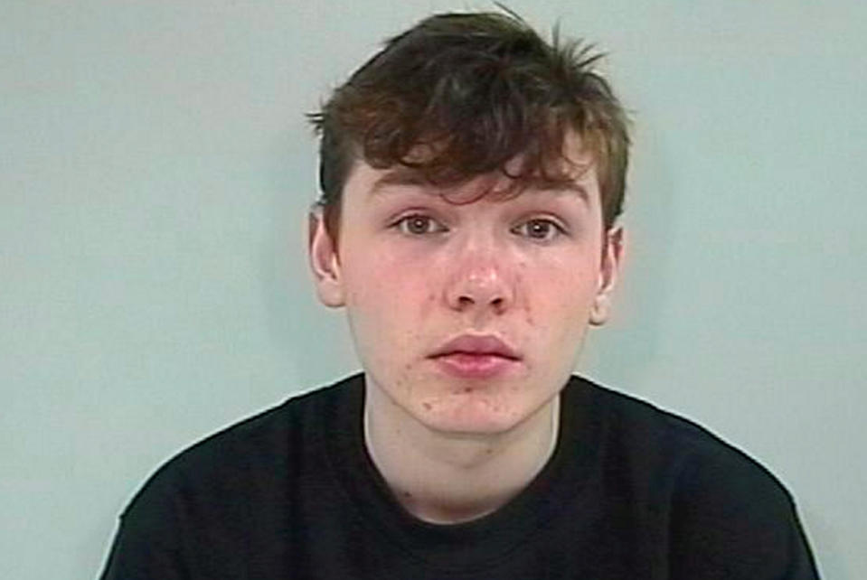 Will Cornick stabbed his teacher in her classroom (Picture: SWNS)