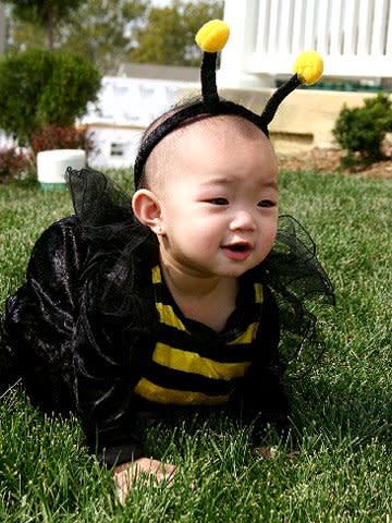 Bumblebee Baby Costume