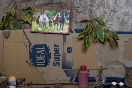 The Wider Image: Khartoum's Equestrian Club struggles amid Sudan upheaval