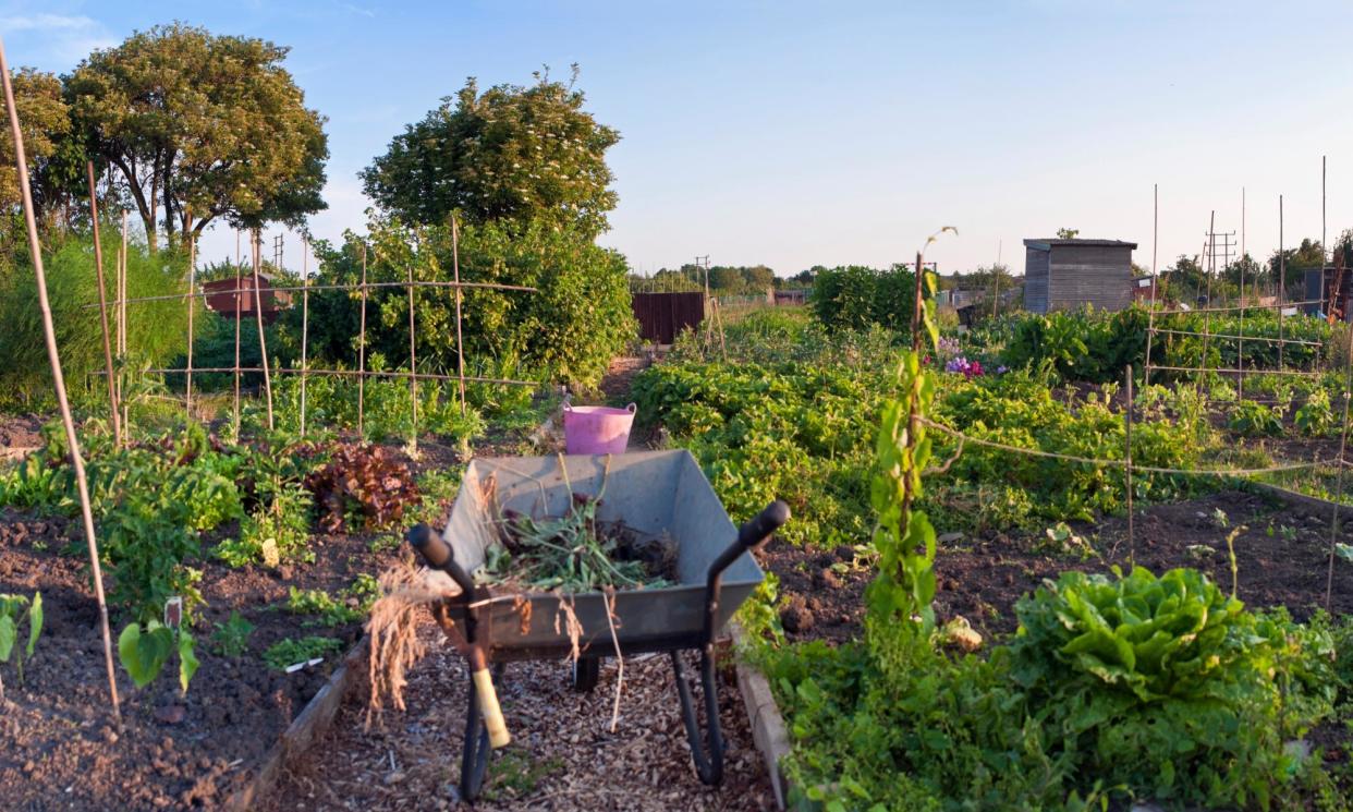 <span>More than 8,000 people were helped to take part in activities including community gardening.</span><span>Photograph: RachelDewis/Getty Images/iStockphoto</span>